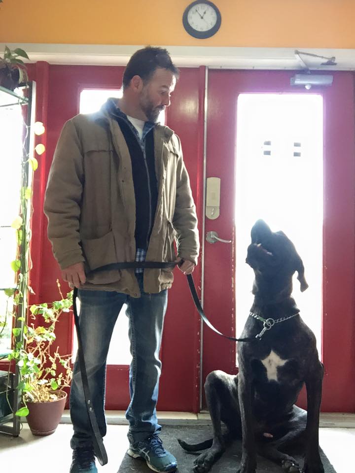 12705287_1678004552453583_287093629886902170_n