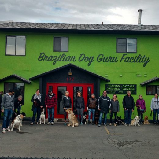 IMG_5281-1900x1068_t